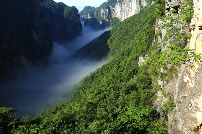 首页 恩施旅游线路 线路详情 屏山大峡谷风景区以险,俊,美著称,幽深